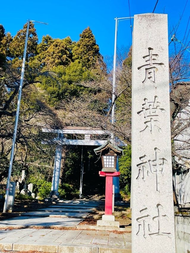 【青葉神社/宮城県】カッコいい！龍と伊達政宗公