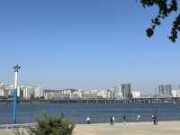 汝矣島漢江公園(여의도한강공원) - 首爾