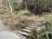 【京都】京都を一望できる山にプチトレッキング