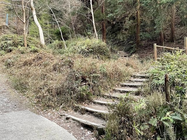 【京都】京都を一望できる山にプチトレッキング