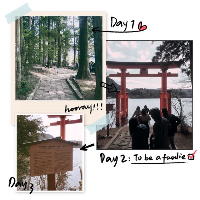 打卡箱根人氣鳥居⛩️