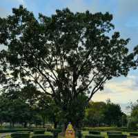 拉瑪公園：自然風光，呼吸清新空氣