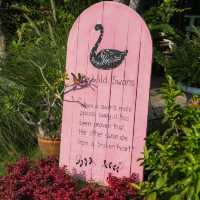 The wild swans cafe' & lake