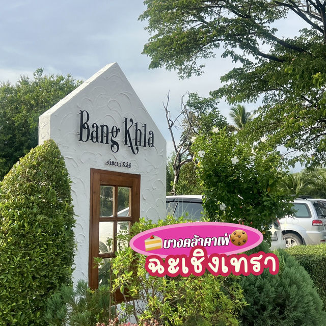 หลงรักบางคล้า🧉คาเฟ่