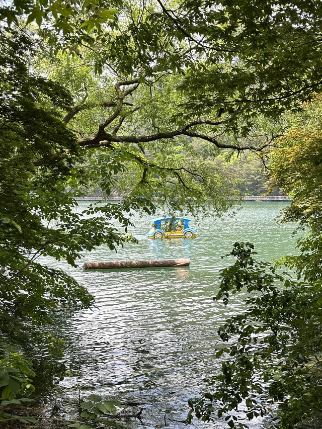 서울 근교, 포천에서 🏝️ 여름을 풍성하게 느껴볼 수 있는 여름 나들이 여행지 추천 ! 💫