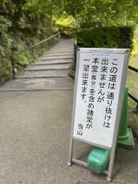 【京都】公式おすすめの絶景ポイント
