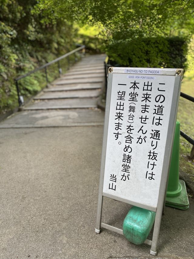 【京都】公式おすすめの絶景ポイント