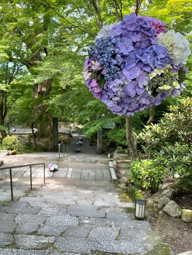 【福岡観光】有名アニメでも有名になった竈門神社