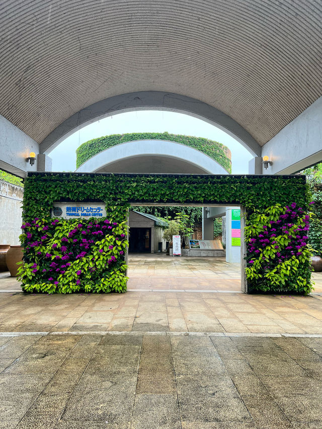 【沖縄 本部】雨の日でも楽しめるオススメSPOT🌸