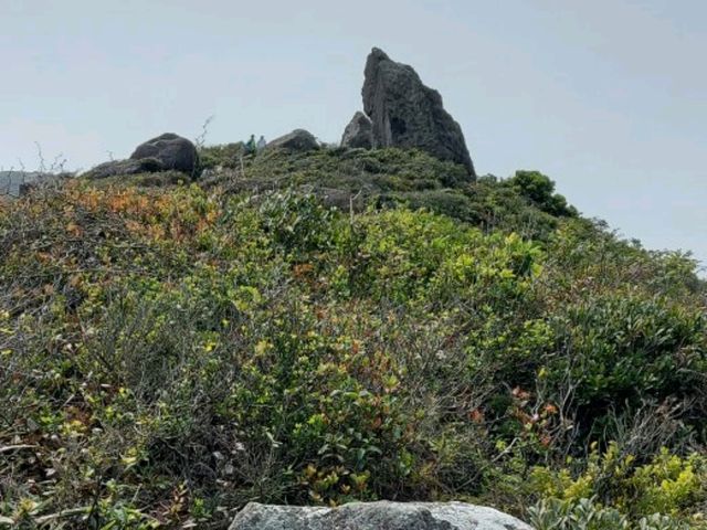 香港郊遊⛰ - 東龍島🌐上角頂