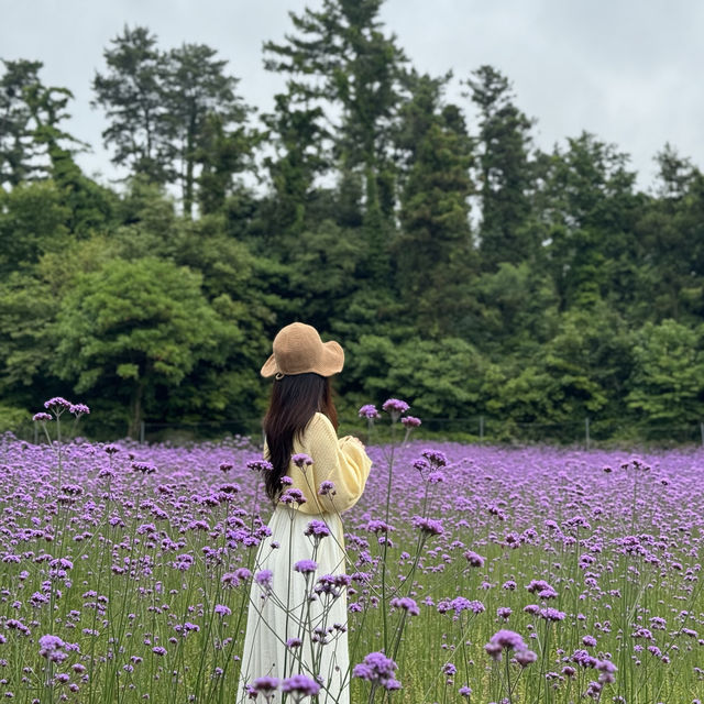 비케이브에 방문하신다면 인생샷 무조건 보장이에용 💜 