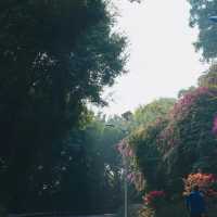 碧山巖：優質綠道，感受大自然魅力