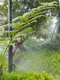 คาเฟ่เปิดใหม่ ใครๆ ก็ต้องมา harudot 