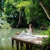 🌳ไปเอนกายท่ามกลางธรรมชาติ ป่าเขาใหญ่ 