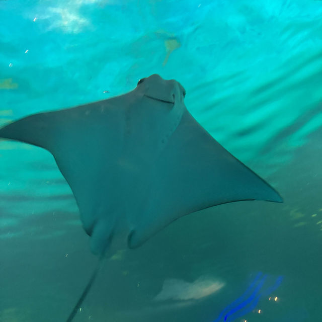 Shanghai Haichang ocean park
