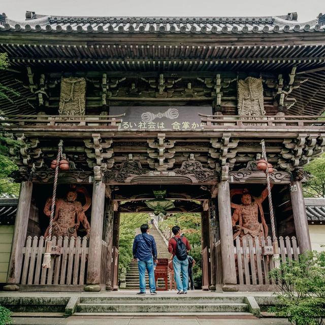 เกาะที่มีวิวสวยติด 1 ใน 3 ของญี่ปุ่น🦌