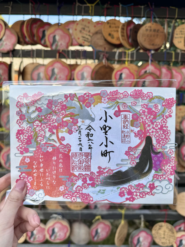 〜京都府〜絶世の美女のお寺さん歴史を感じる雅なお寺