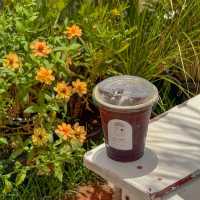 🌼Chaplu Cafe & Restaurant