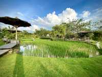 แต่ง FARM ให้เป็น CAFE‘ 🪴ฟีลเป็นชาวไร่ชาวสวนกัน!