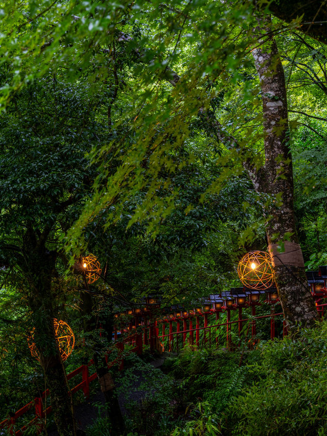 初日に行っちゃダメ『貴船神社』七夕笹飾りライトアップが開催中7/1~8/16まで🎋