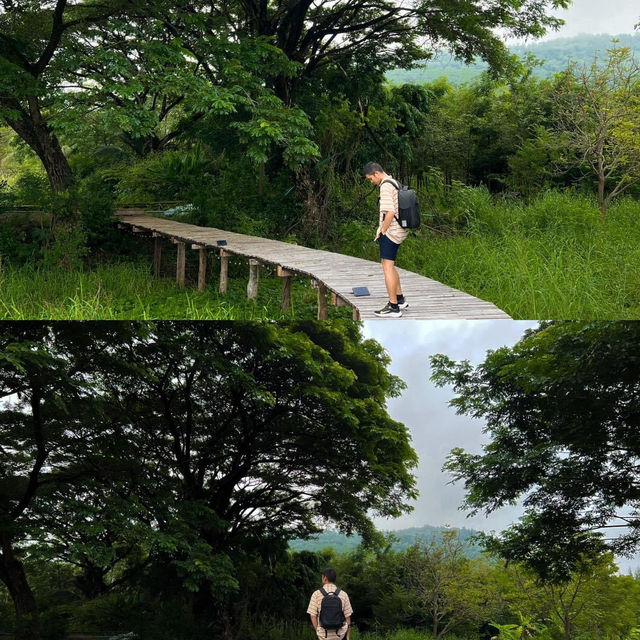 คาเฟ่สุดน่ารัก ซ่อนตัวลับๆ ท่ามกลางป่าใหญ่🌲⛰️