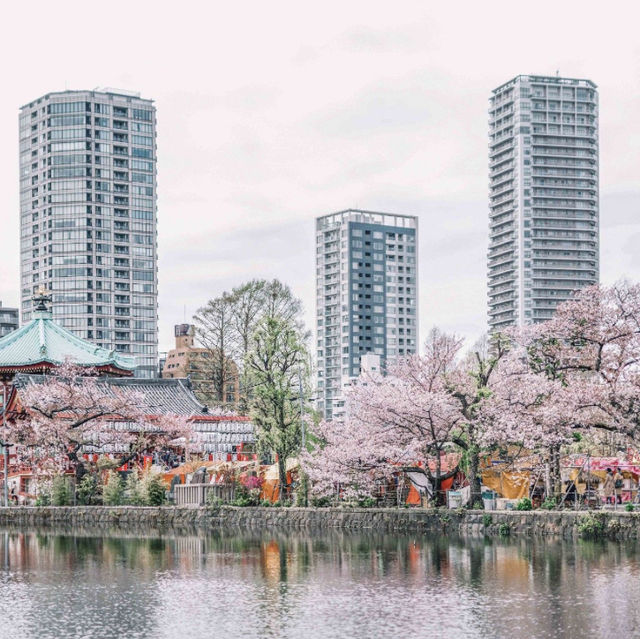 Tokyo Unveiled: Where Tradition Meets Innovation