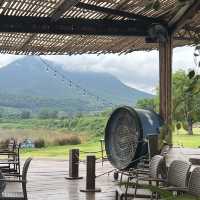 คาเฟ่ บ้านติดดิน