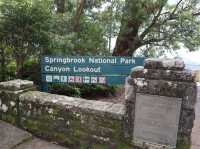 Springbrook National Park