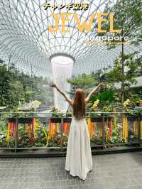 世界最大の室内滝！！JEWEL！空港直結の無料で見れる絶景スポット！