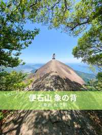【三重 紀北町】便石山（象の背）の絶景ハイキング🐘