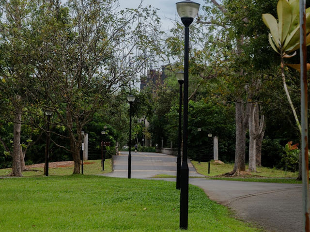 Pasir Ris Town Park