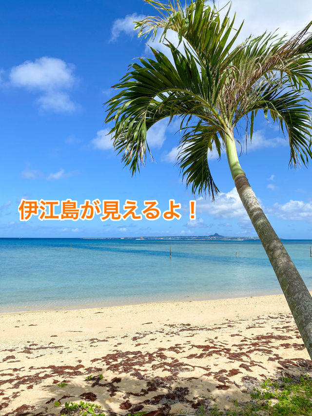 【沖縄 本部町】恋人の聖地!?️🩵沖縄の魅力スポット「うふた浜」