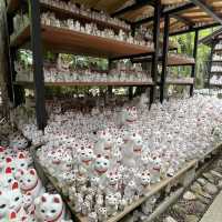 東京另類探貓行程 - 招財貓神社 「豪德寺」