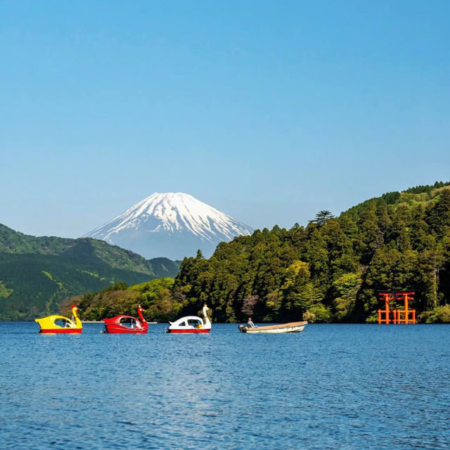 【東京近郊】安靜小鄉村，適合冬天泡溫泉😍🔥