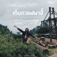ทริปเที่ยวเชียงราย Day2 #ขับมอเตอร์ไซต์เที่ยว