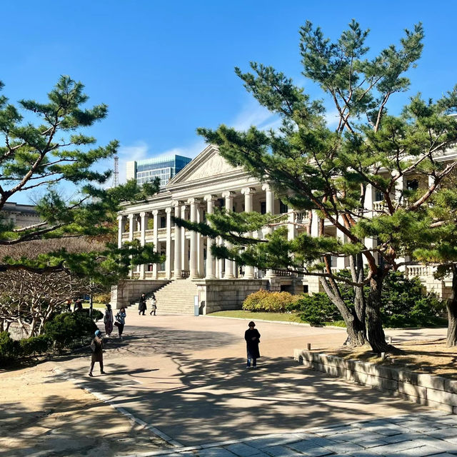 釜山美術館：現代藝術魅力