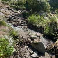 ツツジの綺麗なお勧め登山先