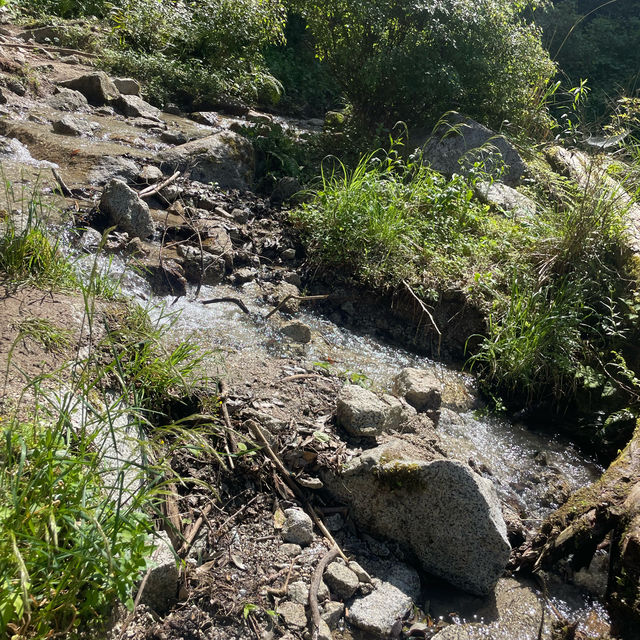 ツツジの綺麗なお勧め登山先