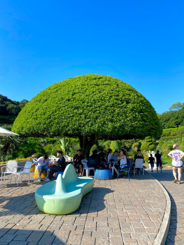 이국적인 분위기 가득🌳 거제도 대표 여행지 📍외도 보타니아