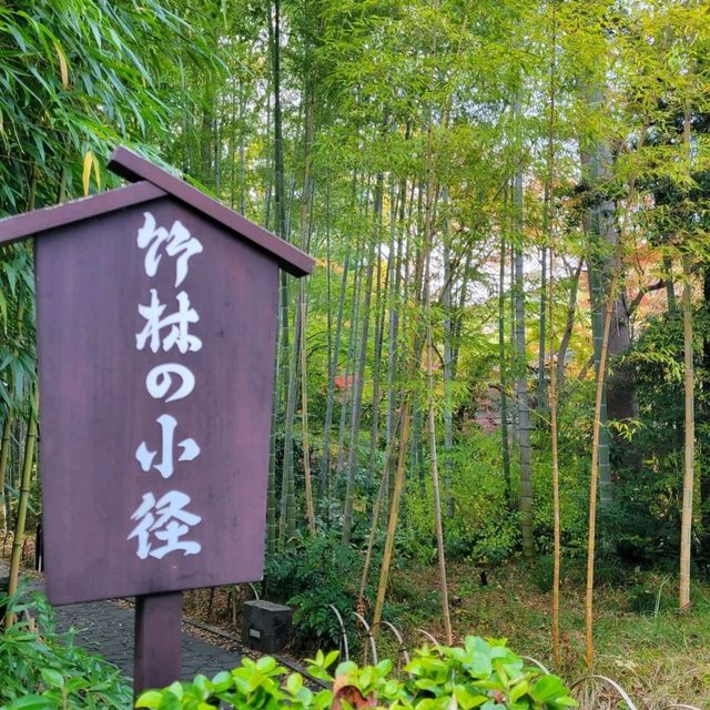 【伊豆半島】修善寺