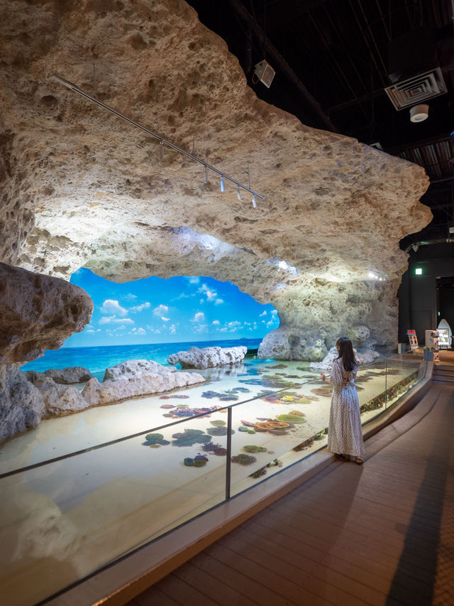 沖縄の水族館はDMM水族館がおすすめ！🐠