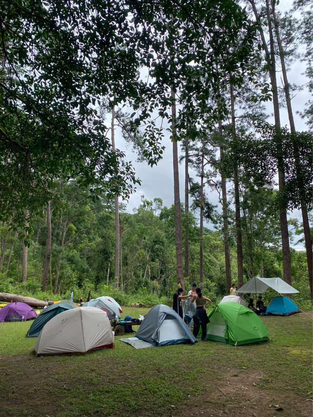 ฤดูฝนที่ดอยขุนตาล | ลำพูน 🏕️🌳🌦️🌿