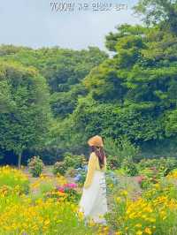 제주도 꽃구경 인생샷 성지는 바로 여기랍니당 ✨
