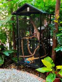Mini petting zoo cafe - Luckbro Kopi