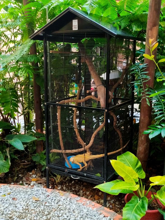 Mini petting zoo cafe - Luckbro Kopi