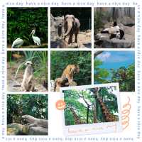 馬來西亞國家動物園：親近自然，享受歡樂氛圍！