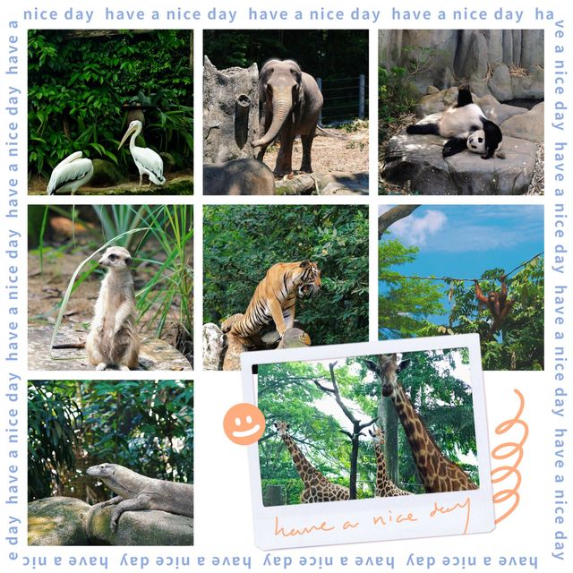 馬來西亞國家動物園：親近自然，享受歡樂氛圍！