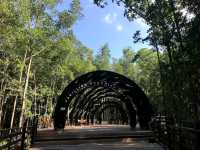 Kukup Island Johor National Park
