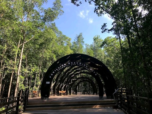 Kukup Island Johor National Park