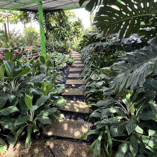 The Secret Garden of 1Utama Mall